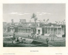Picture 1