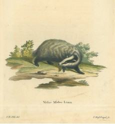Picture 1