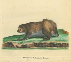Picture 1