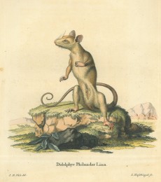 Picture 1