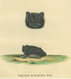 Picture 1