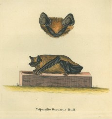 Picture 1