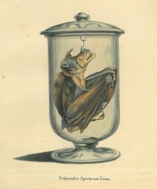 Picture 1