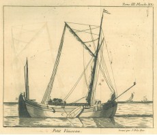 Picture 1