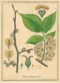Picture 1