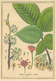 Picture 1