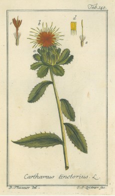 Picture 1