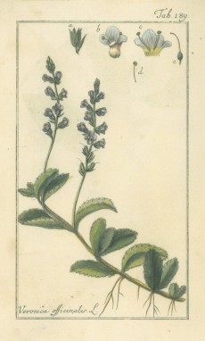 Picture 1