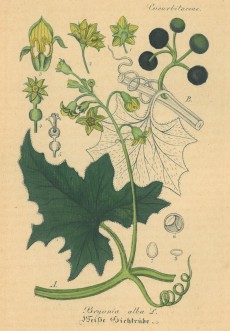 Picture 1