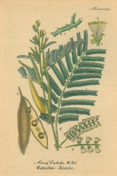 Picture 1