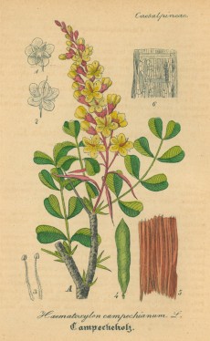 Picture 1