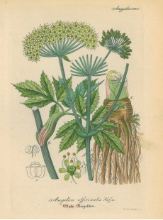 Picture 1