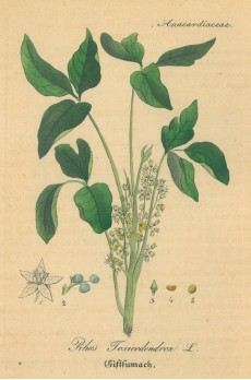 Picture 1