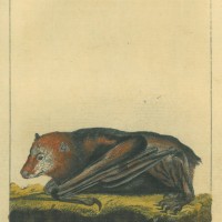 Picture 1