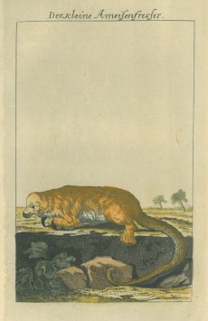 Picture 1