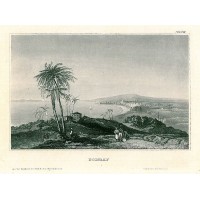 Picture 1
