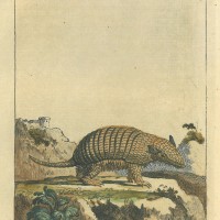 Picture 1