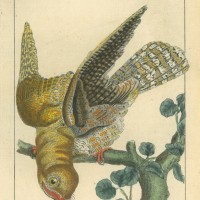 Picture 1