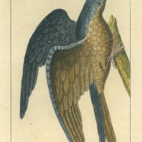 Picture 1