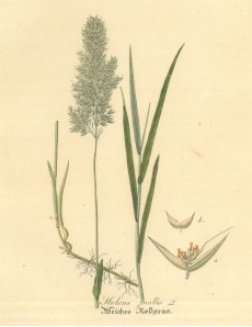 Picture 1