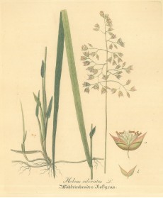 Picture 1