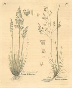 Picture 1