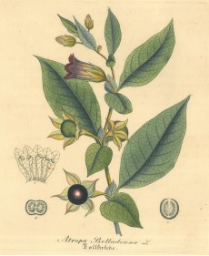 Picture 1