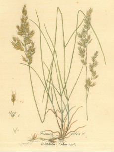 Picture 1