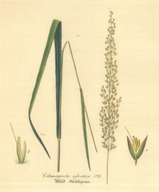 Picture 1