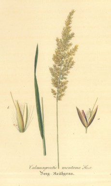 Picture 1