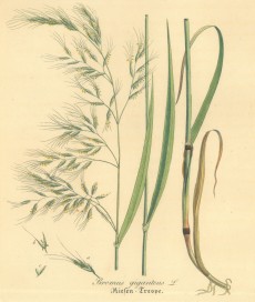 Picture 1
