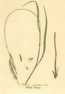 Picture 1
