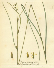 Picture 1