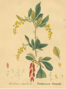 Picture 1