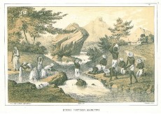 Picture 1