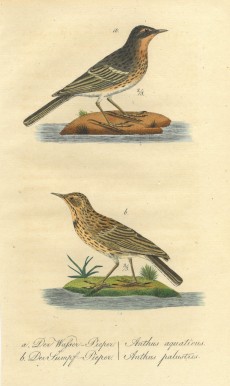 Picture 1