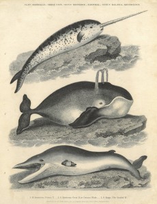 Picture 1
