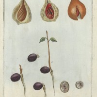 Picture 1