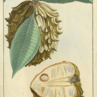 Picture 1