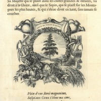 VIER ELEMENTE. - Großmut. Bild 1