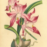 Picture 1