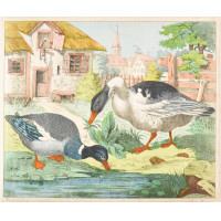 Picture 1