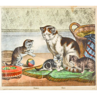 Picture 1
