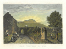 Picture 1