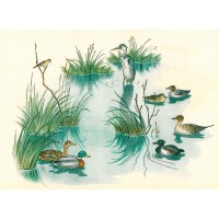 Zglinicki, F(riedrich) P(rusz) v(on). Picture 1