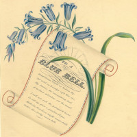 Picture 1