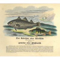 Picture 1