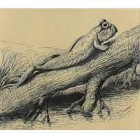 Picture 1