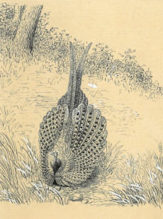 Picture 1