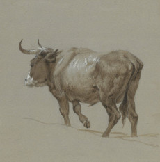 Picture 1